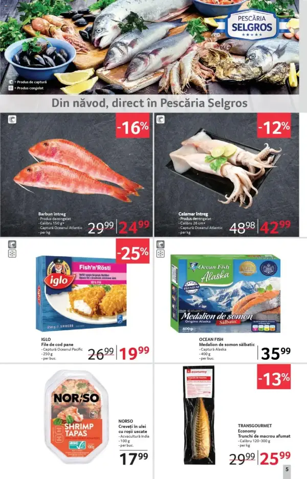 Pagina 5