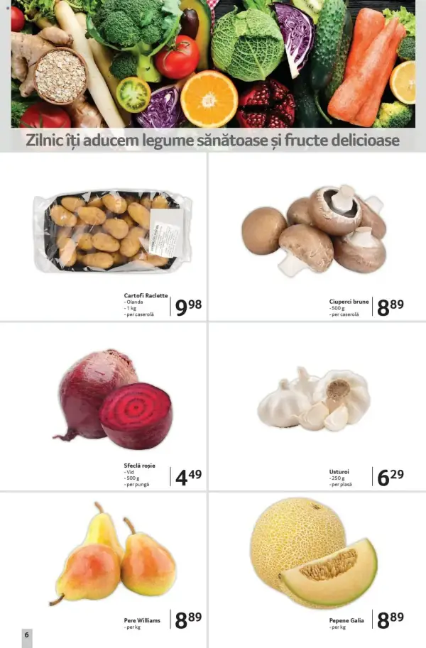 Pagina 6