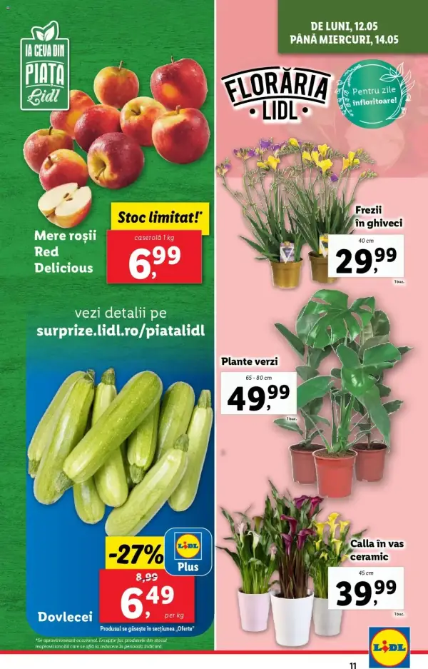 Cataloage Lidl: Ofertă actuală din 12.05.2025 - Oferta produse - 12-05-2025 - 18-05-2025.