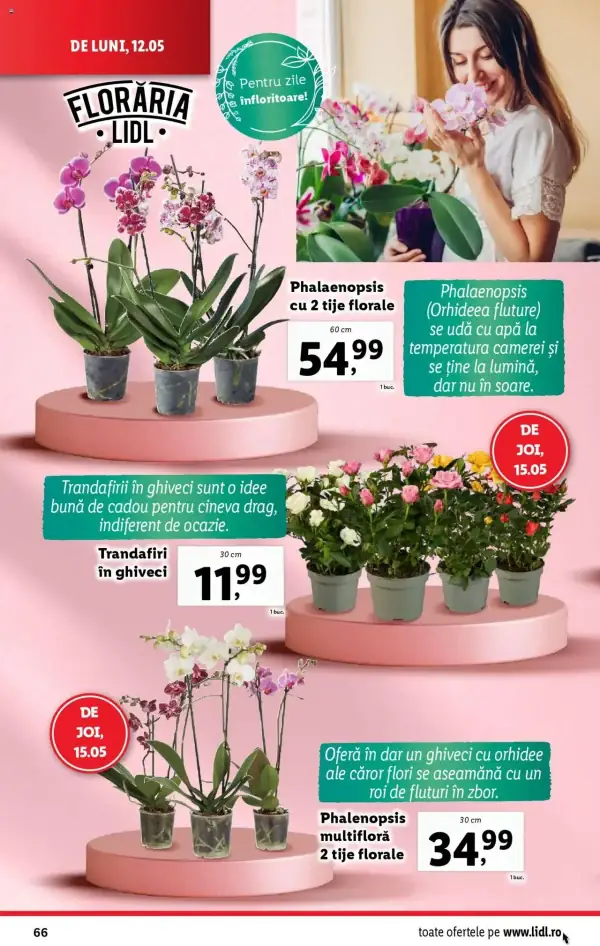 Cataloage Lidl: Ofertă actuală din 12.05.2025 - Oferta produse - 12-05-2025 - 18-05-2025.