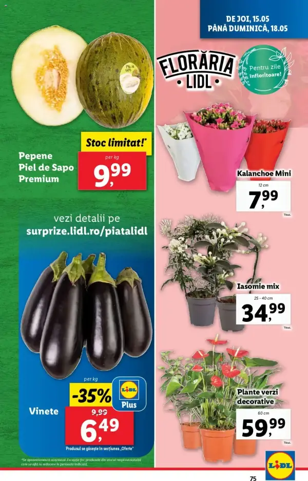Cataloage Lidl: Ofertă actuală din 12.05.2025 - Oferta produse - 12-05-2025 - 18-05-2025.