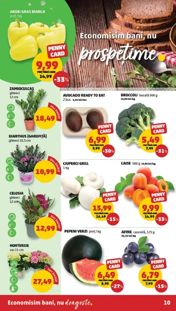 Cataloage PENNY: Ofertă actuală din 07.05.2025 - "Catalog nou" - 07-05-2025 - 13-05-2025.