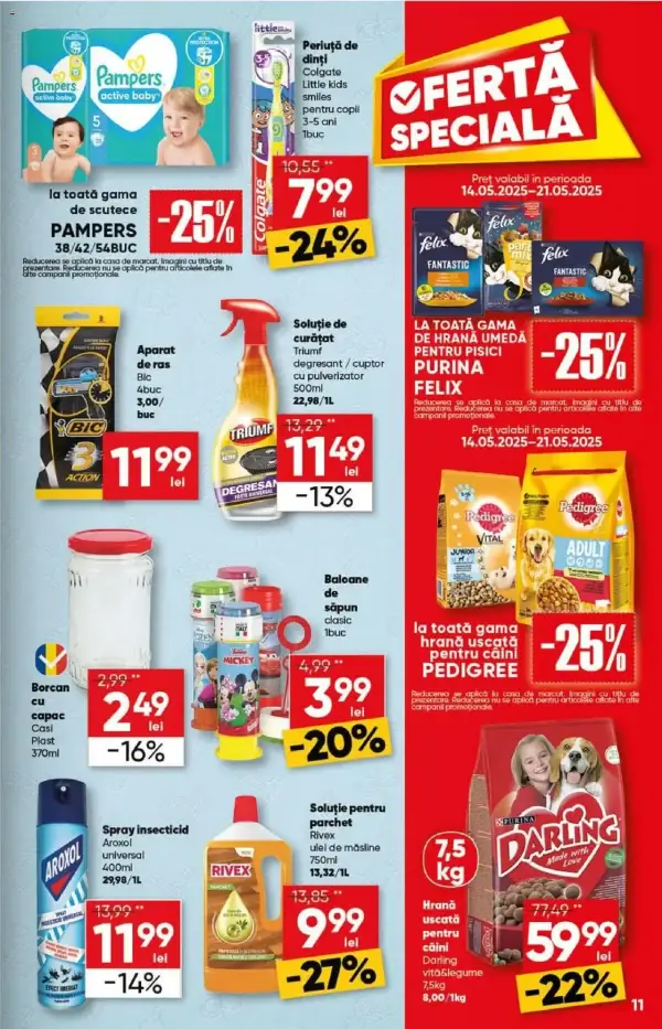 Pagina 11