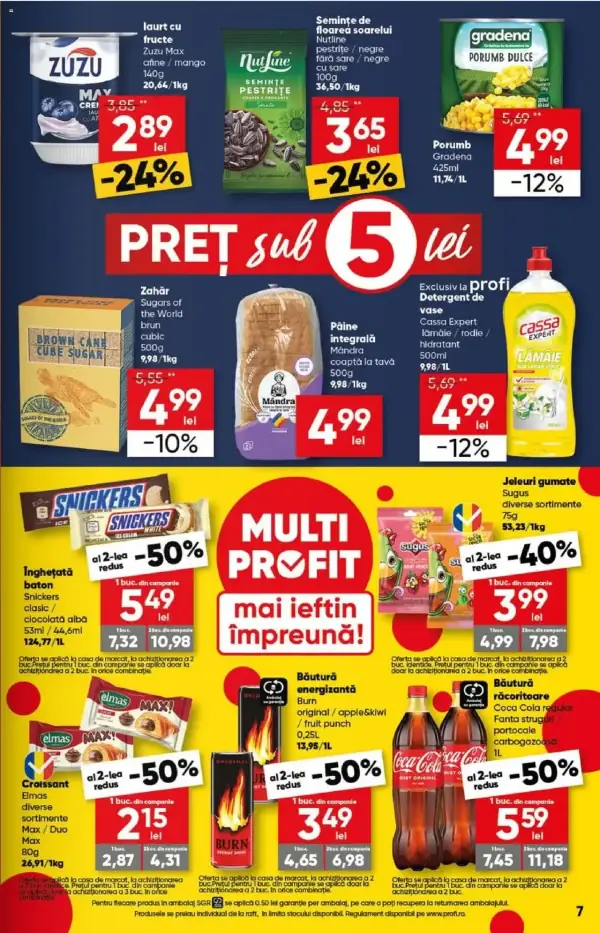 Pagina 7