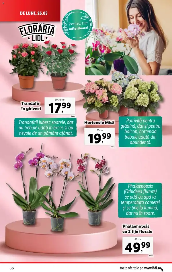Cataloage Lidl: Ofertă actuală din 26.05.2025 - Oferta produse - 26-05-2025 - 01-06-2025.
