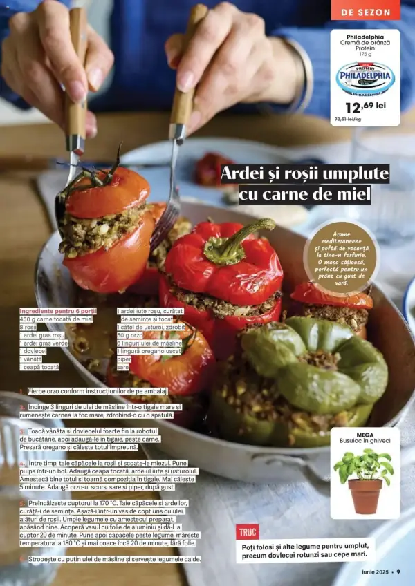 Cataloage Mega Image: Ofertă actuală din 29.05.2025 - Revista nou - 29-05-2025 - 24-06-2025.