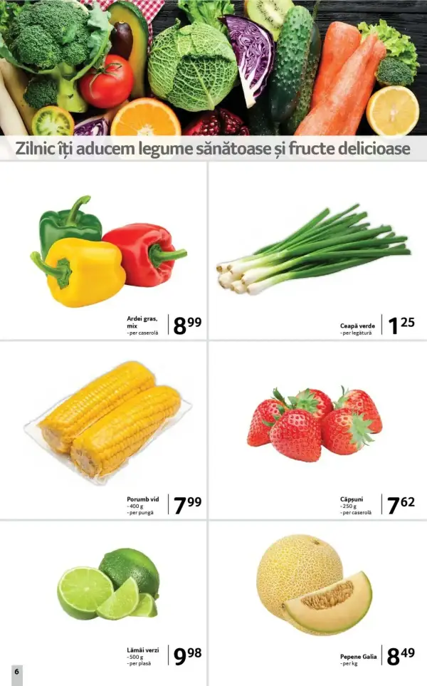 Pagina 6