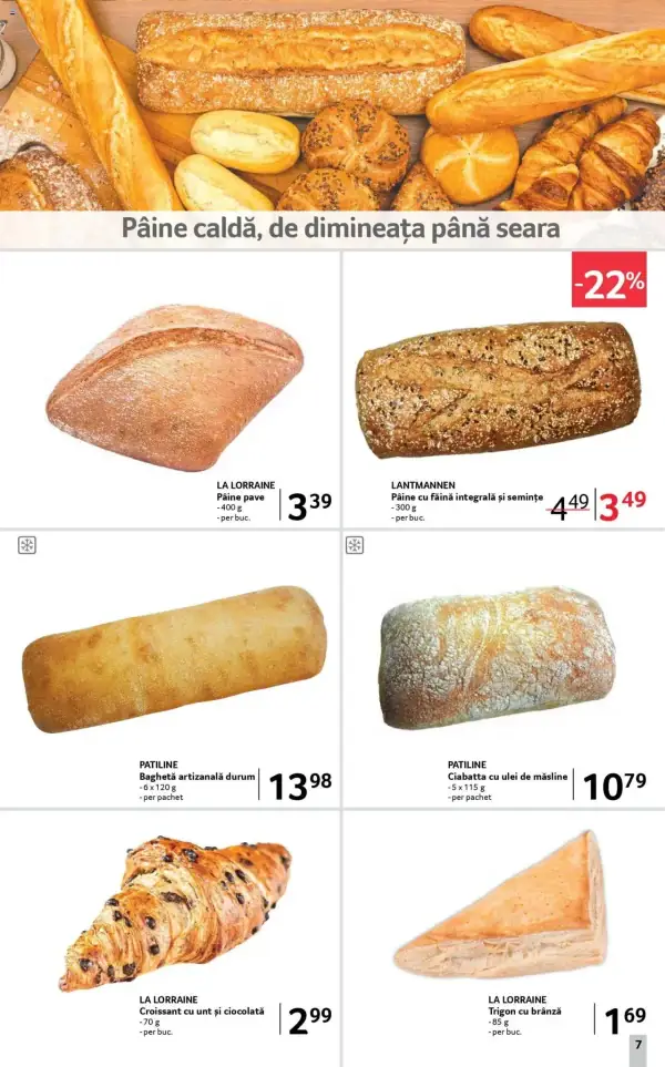Pagina 7