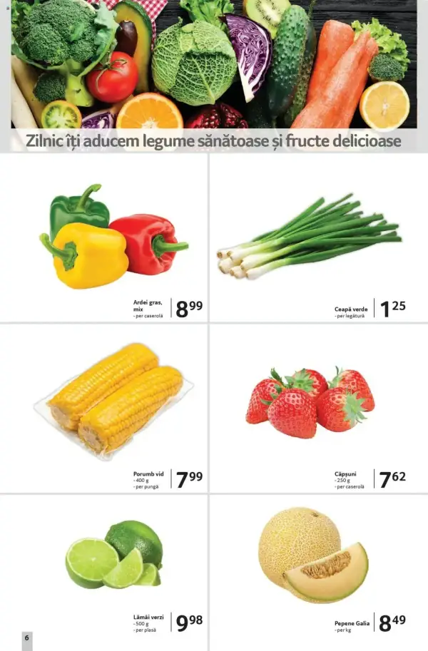 Pagina 6