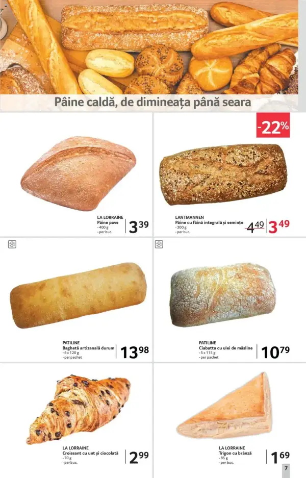 Pagina 7