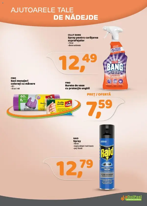 Cataloage LaDoiPaşi: Ofertă actuală din 01.06.2025 - 01-06-2025 - 30-06-2025.