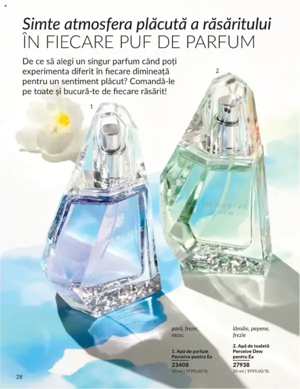 Pagina 28