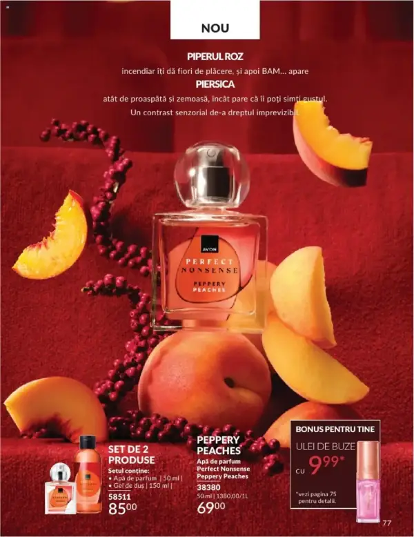 Pagina 77