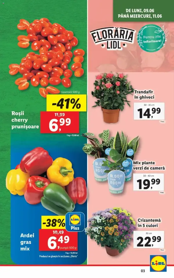 Cataloage Lidl: Ofertă actuală din 09.06.2025 - Oferta produse - 09-06-2025 - 15-06-2025.