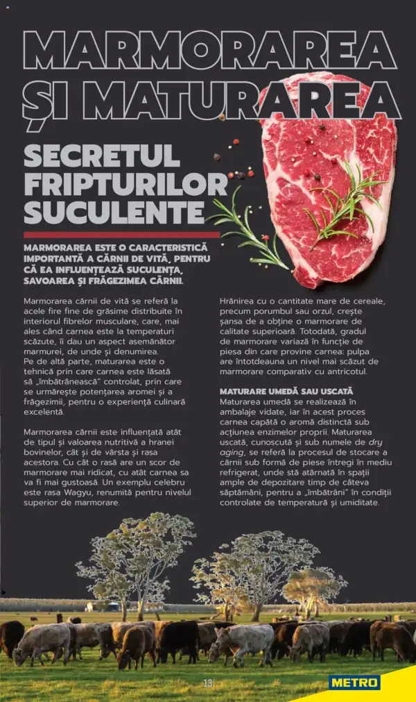 Pagina 13