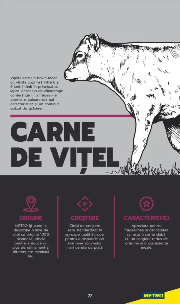 Cataloage Metro: Ofertă actuală din 03.06.2025 - Carne pentru Profesioniști - 03-06-2025 - 04-07-2025.