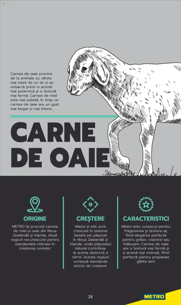 Cataloage Metro: Ofertă actuală din 03.06.2025 - Carne pentru Profesioniști - 03-06-2025 - 04-07-2025.