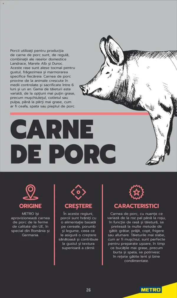 Cataloage Metro: Ofertă actuală din 03.06.2025 - Carne pentru Profesioniști - 03-06-2025 - 04-07-2025.