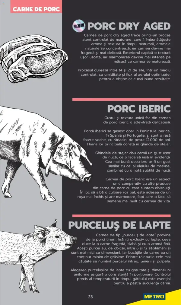 Cataloage Metro: Ofertă actuală din 03.06.2025 - Carne pentru Profesioniști - 03-06-2025 - 04-07-2025.