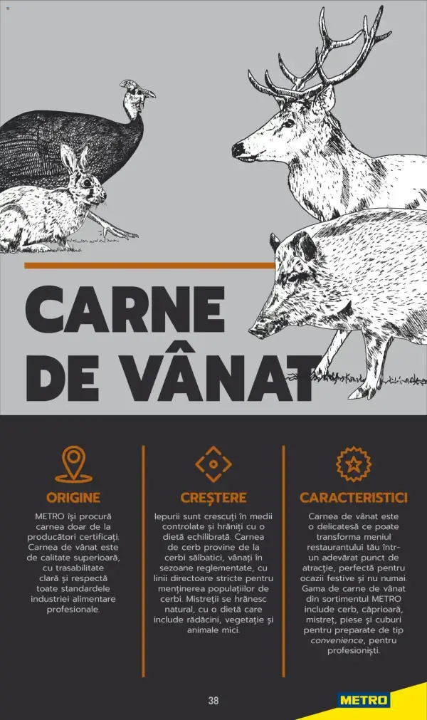 Cataloage Metro: Ofertă actuală din 03.06.2025 - Carne pentru Profesioniști - 03-06-2025 - 04-07-2025.