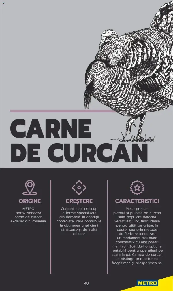 Cataloage Metro: Ofertă actuală din 03.06.2025 - Carne pentru Profesioniști - 03-06-2025 - 04-07-2025.