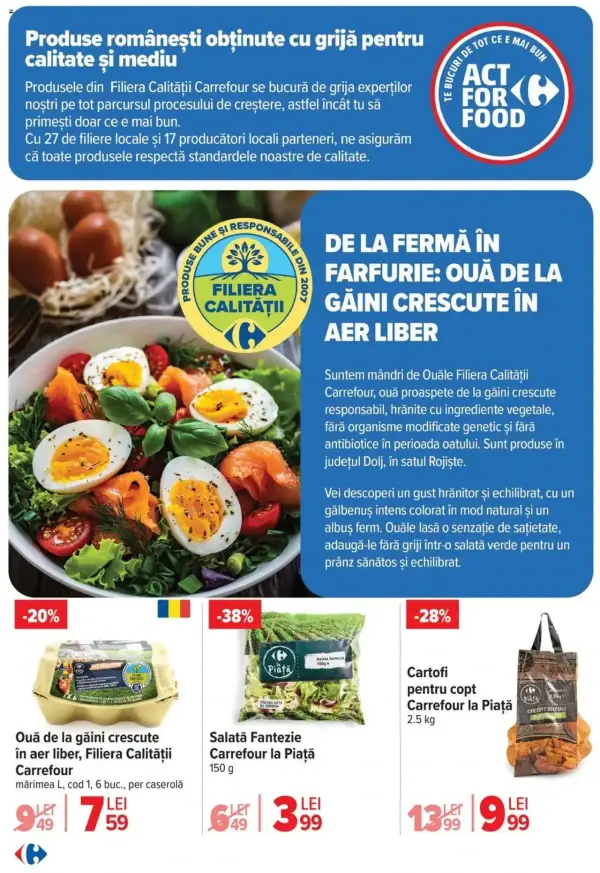 Pagina 5