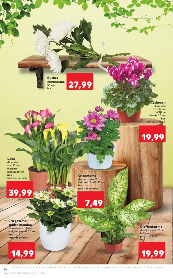 Pagina 16
