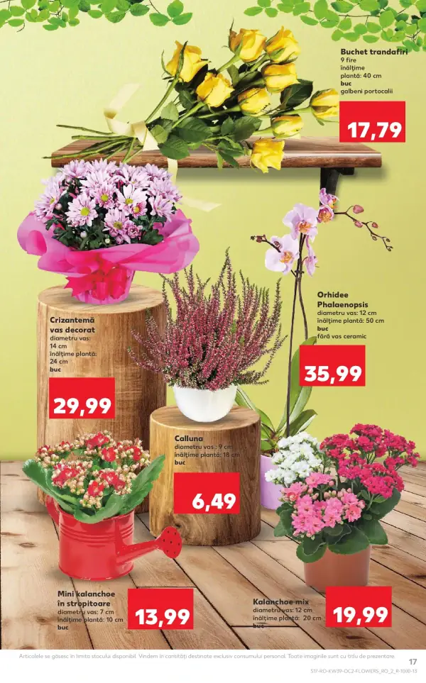 Pagina 17