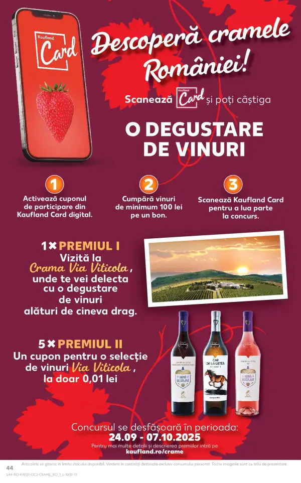 Pagina 44