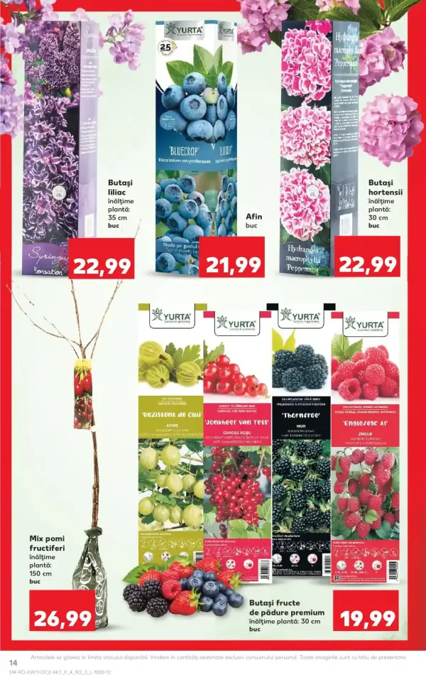 Cataloage Kaufland Catalog: Ofertă actuală din 11.03.2026 - 11-03-2026 - 17-03-2026.