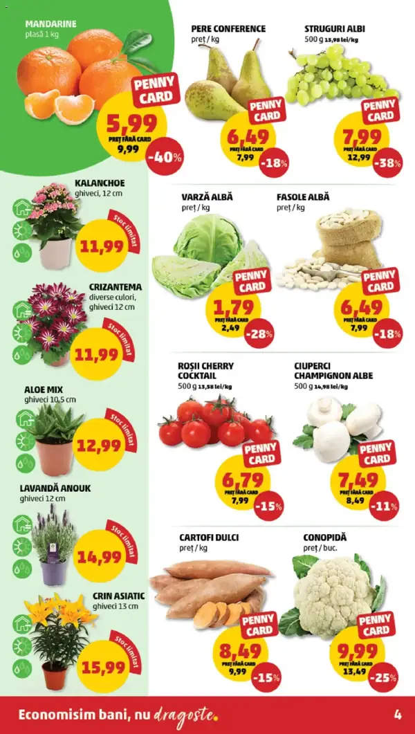 Cataloage Catalog PENNY nou: Ofertă actuală din 11.03.2026 - 11-03-2026 - 17-03-2026.