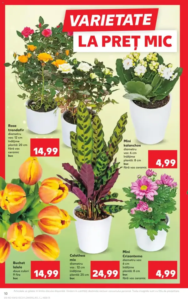 Cataloage Kaufland Catalog: Ofertă actuală din 18.03.2026 - 18-03-2026 - 24-03-2026.