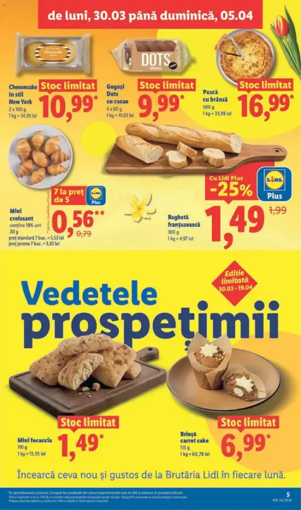 Pagina 5