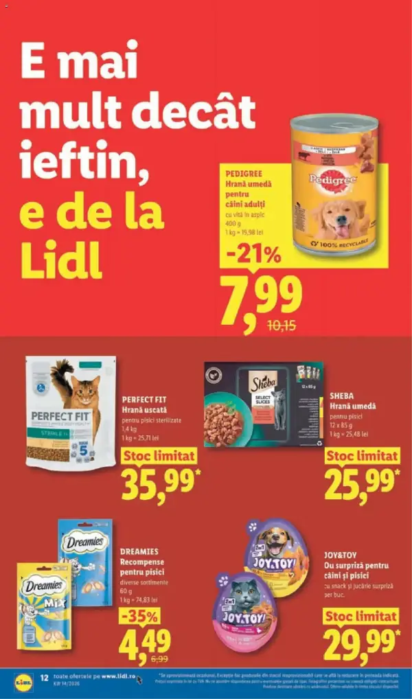 Pagina 12