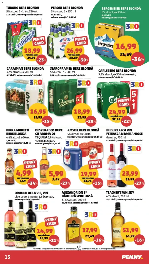Pagina 13