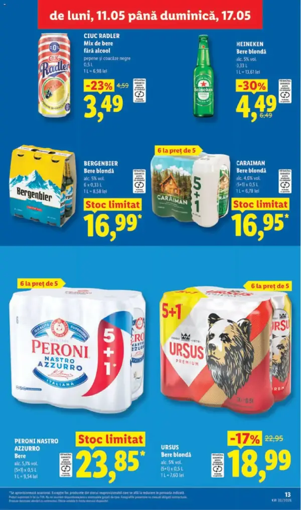 Pagina 13