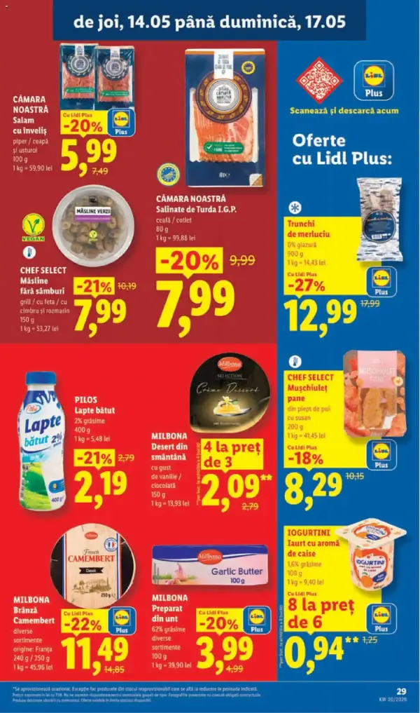 Pagina 29