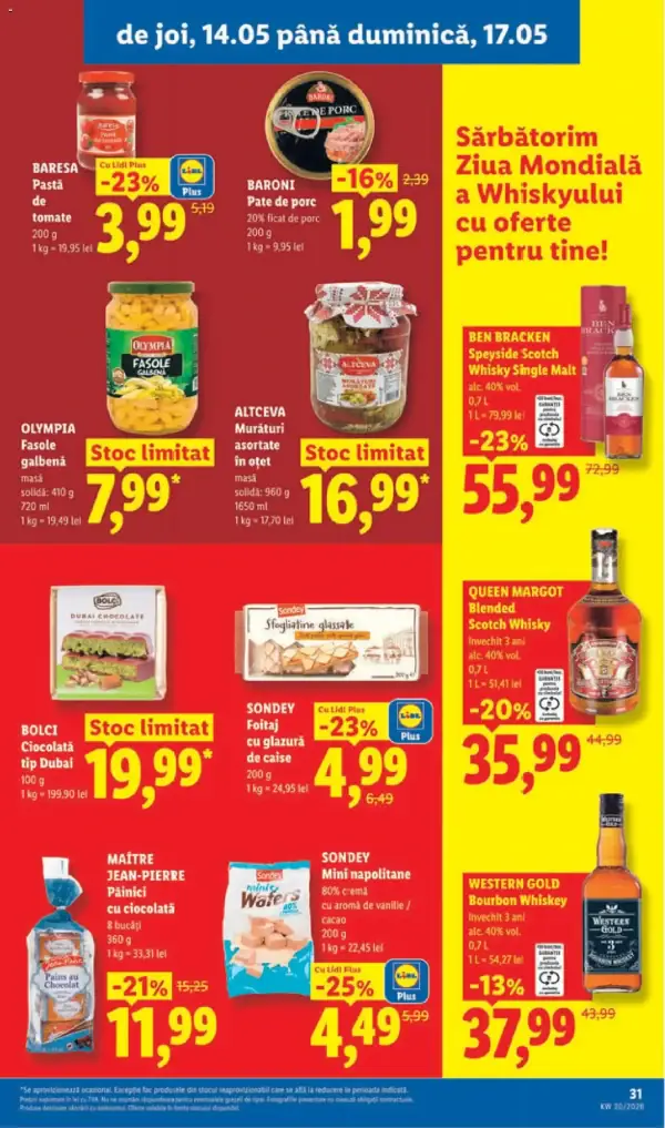 Pagina 31