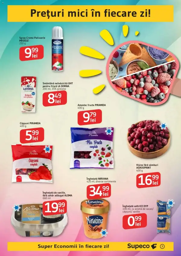 Pagina 3