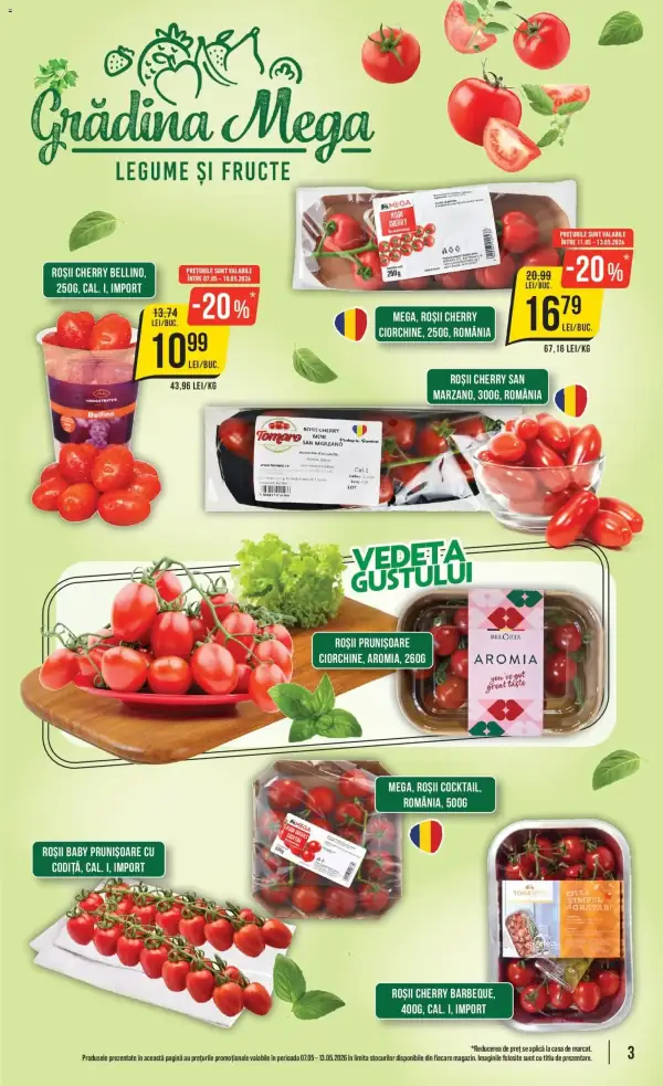 Pagina 3