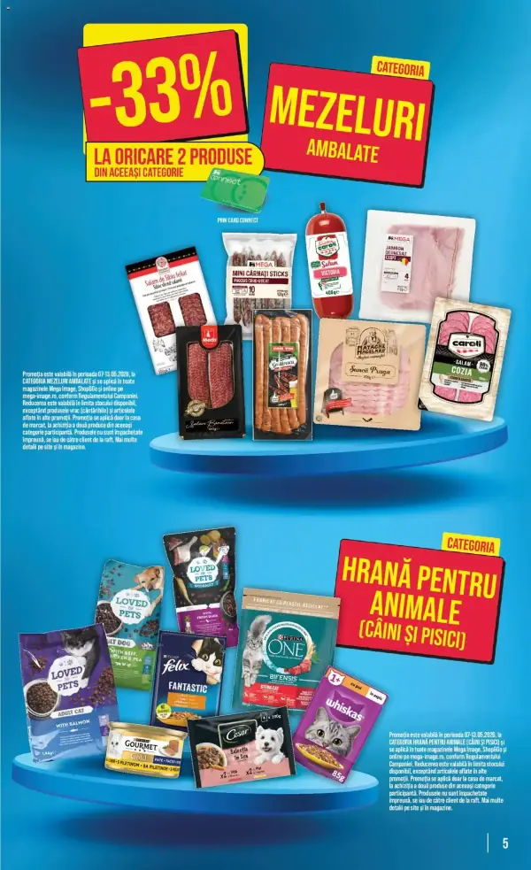 Pagina 5