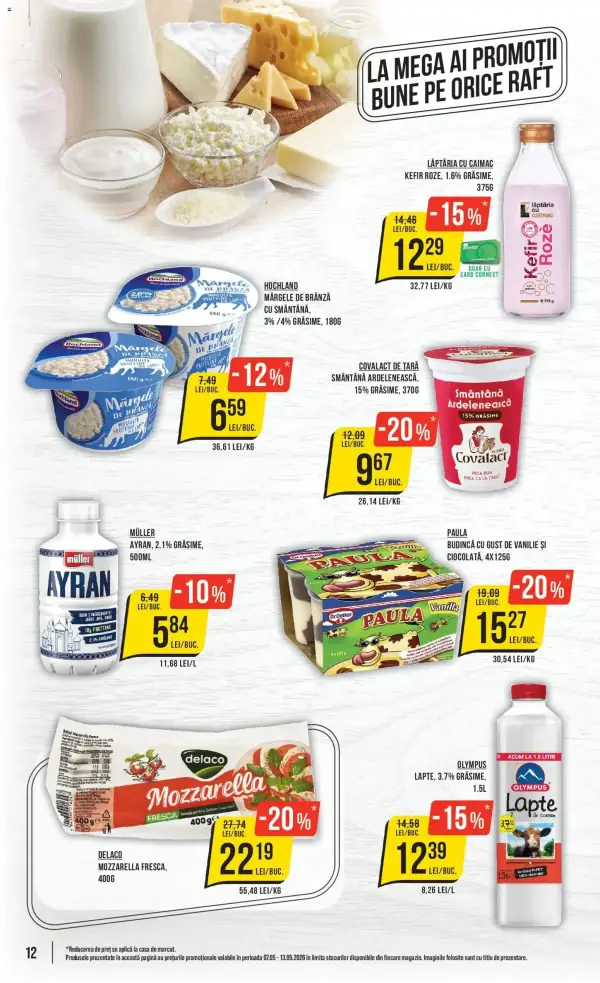 Pagina 12