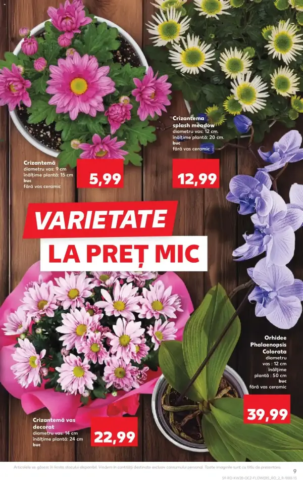 Pagina 9
