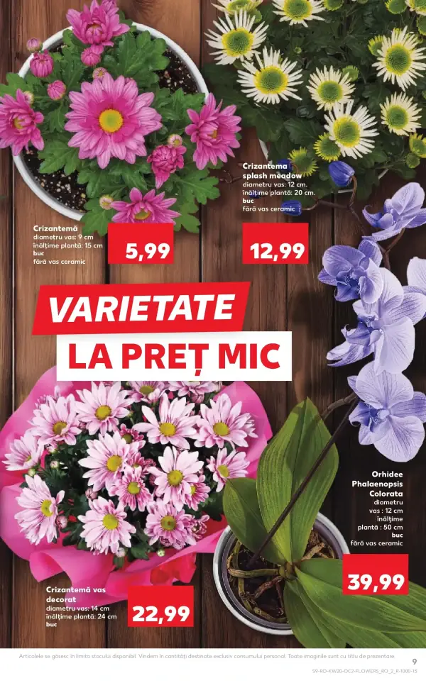 Pagina 9