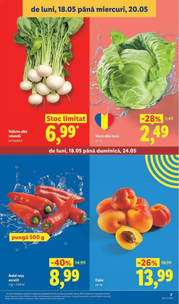 Pagina 7