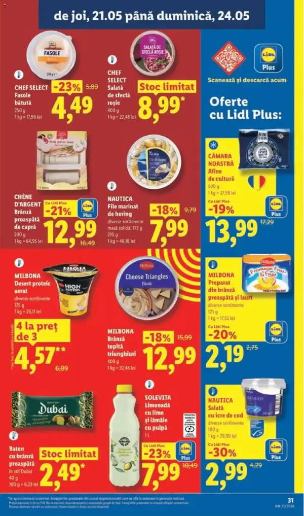 Pagina 31