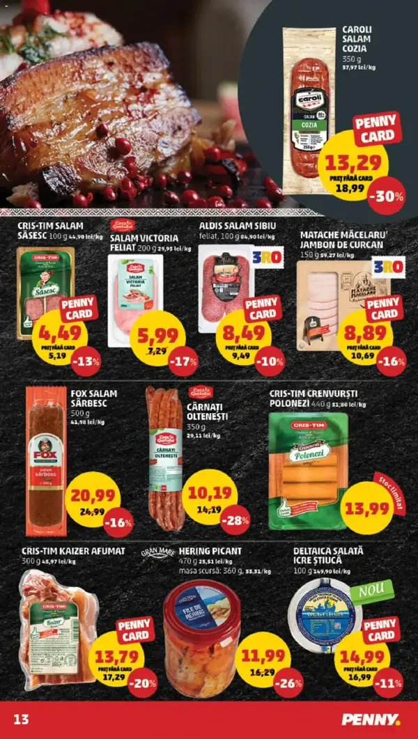 Pagina 13