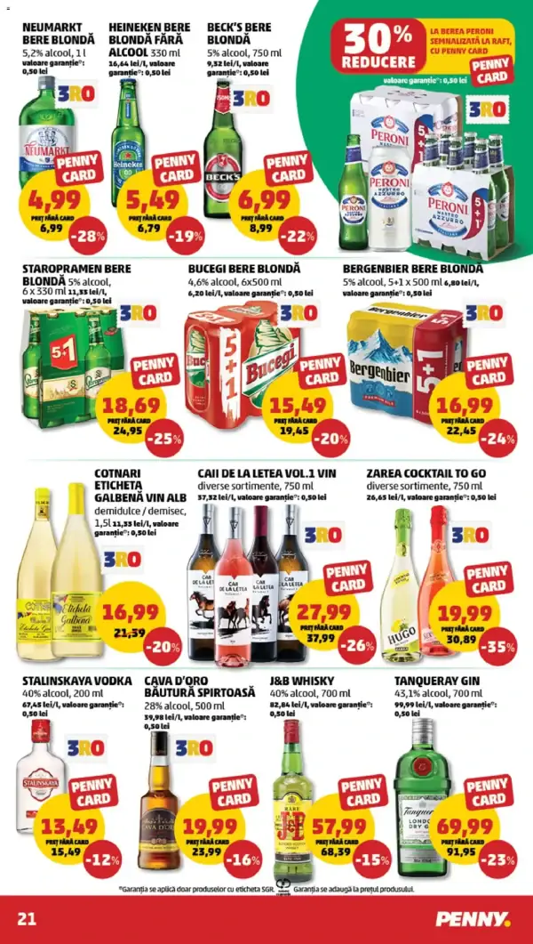 Pagina 21