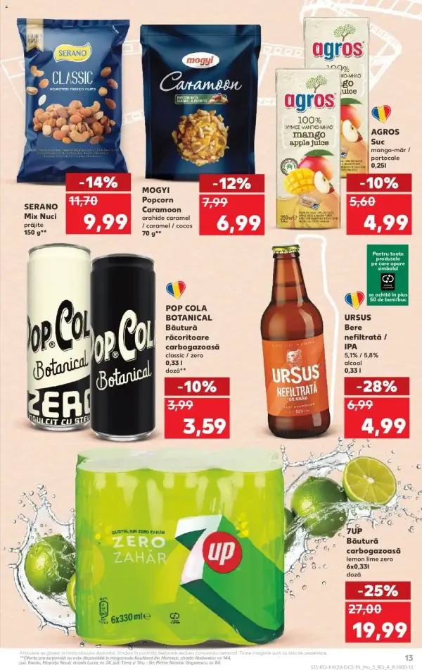 Pagina 13