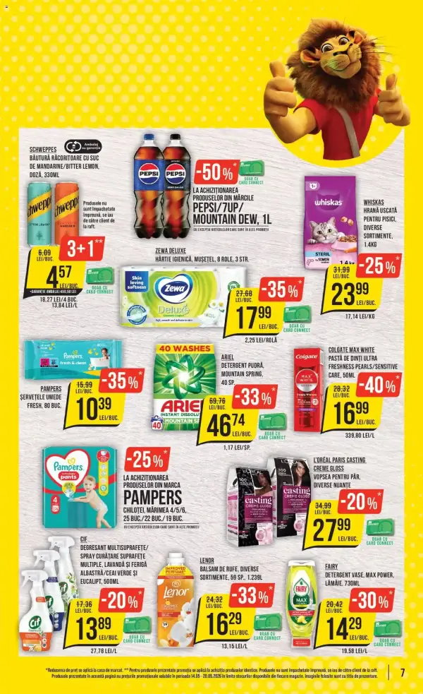 Pagina 7